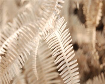 空氣改善需要靠污染源才能進(jìn)行轉(zhuǎn)移，這個(gè)真不能這樣下結(jié)論